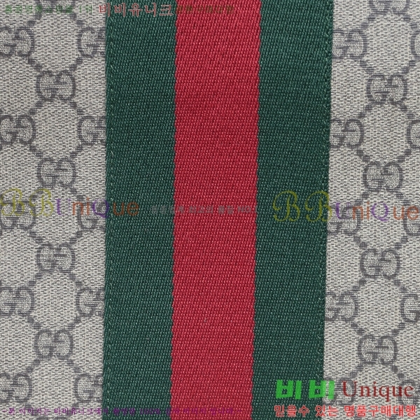 #���� GG ������ Ŭ��ġ�� 523603-21-2