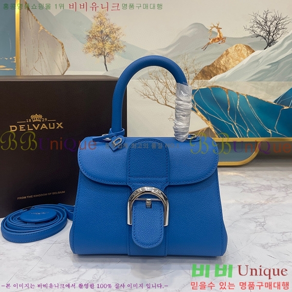 #���� �긮�ӹ� �̴� DV0020-1