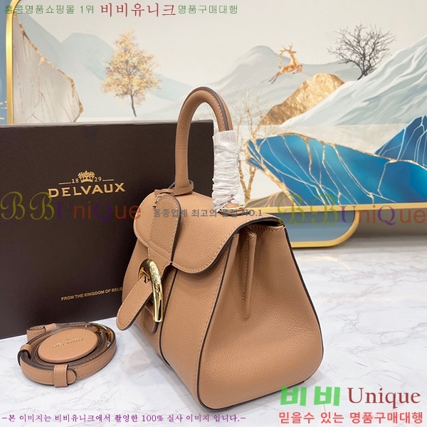 #���� �긮�ӹ� �̴� DV0020-11