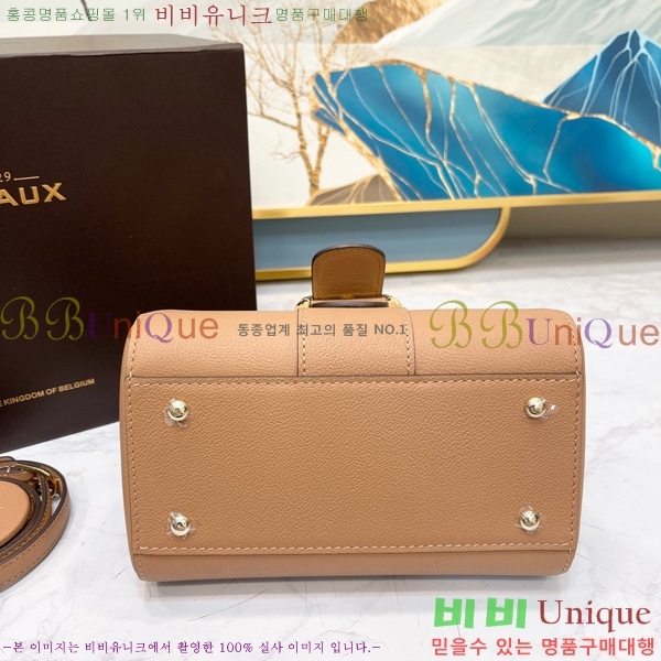 #���� �긮�ӹ� �̴� DV0020-11