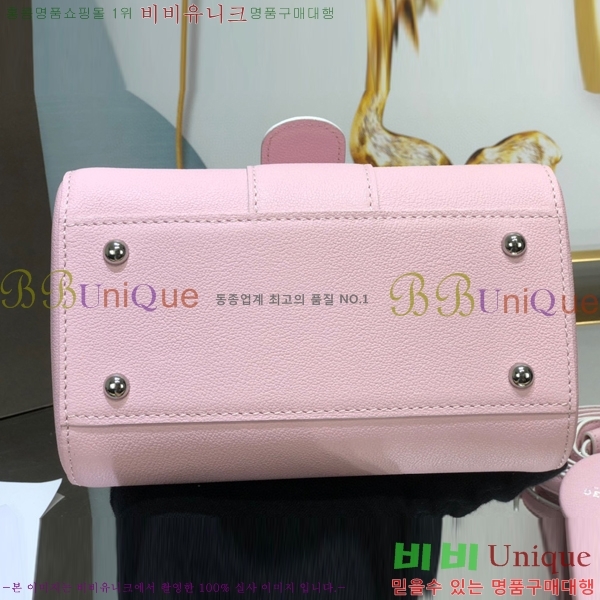 #���� �긮�ӹ� �̴� DV0020-12