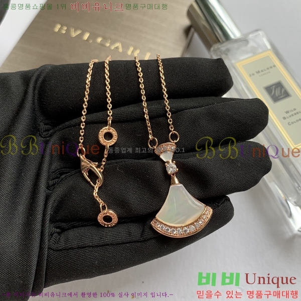 �Ұ��� ��ٽ��帲 ����� 10BV230501-133