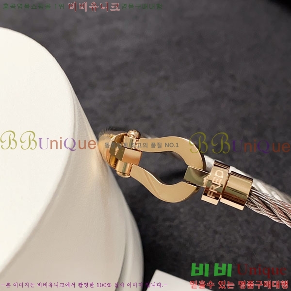 ������ ���� FR31077-1 ������ (�����̰� ȿ�� ����)