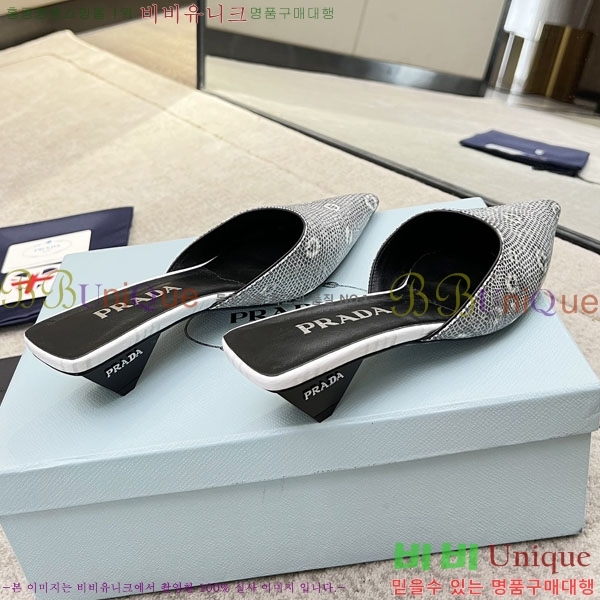 ����� ������ P4110017-1