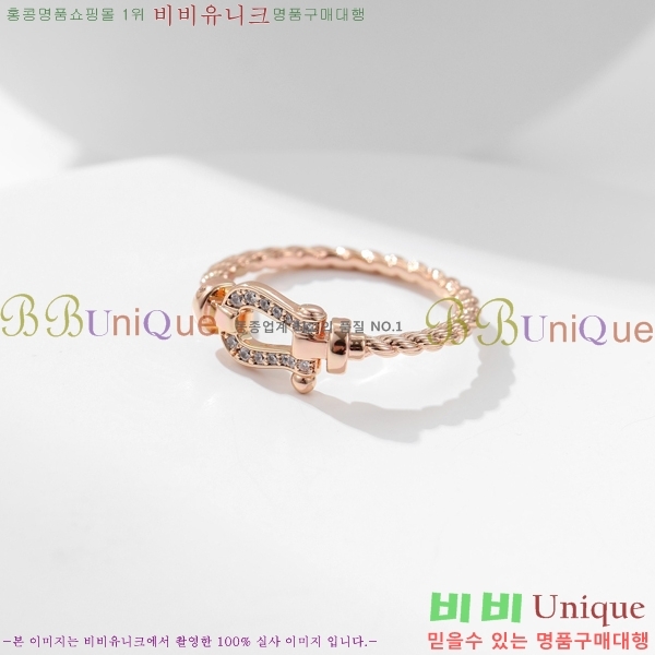 ������ ���� FR31035-2