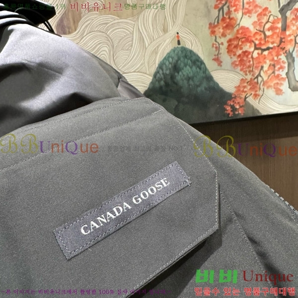 ���� ĳ���ٱ��� �ٿ� �е� 67GC2163852