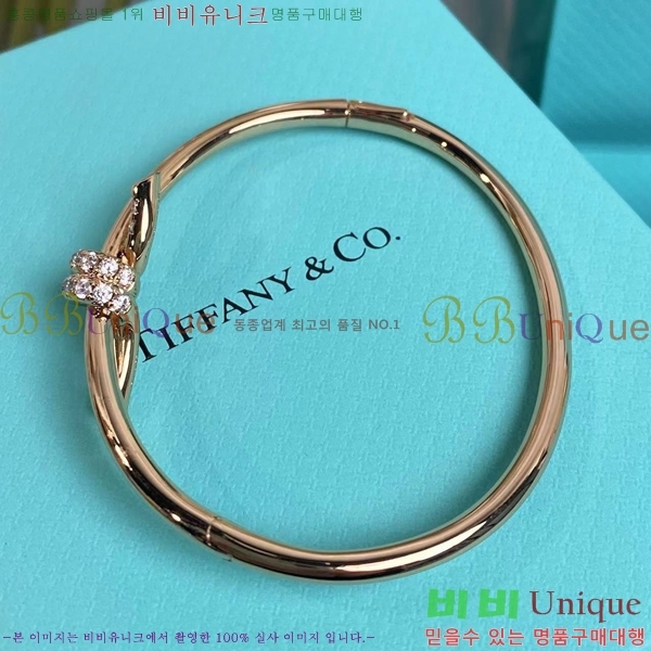 ���� Ƽ�Ĵ� ���� TF2511455-1