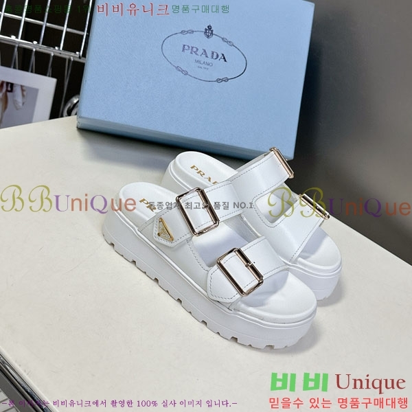 ���� ����� ���� 1PR267786-2