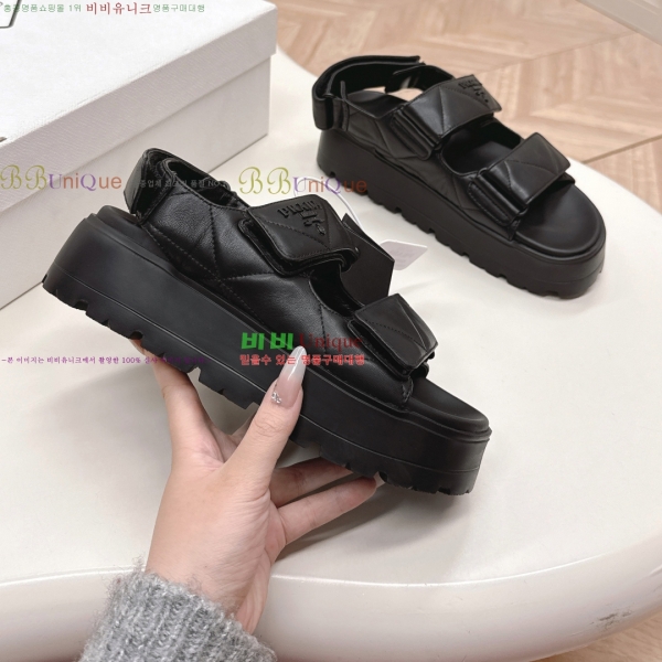 ���� ����� ���� 31P255244-1