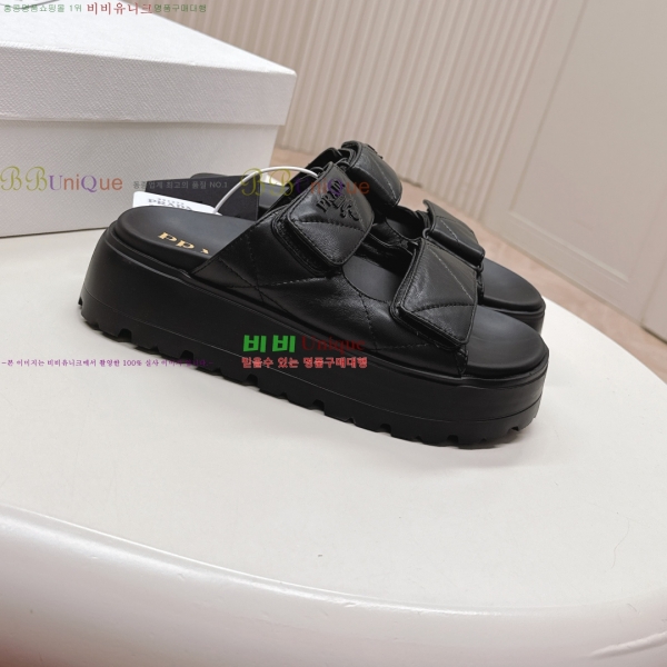 ���� ����� ���� 31P255244-3