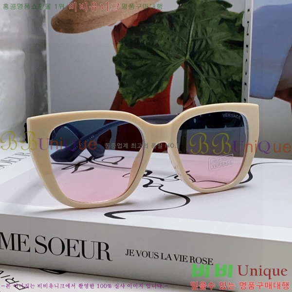 ������ü ���۶� VE102295-2