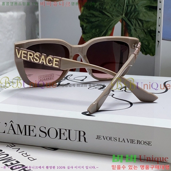 ������ü ���۶� VE102295-3