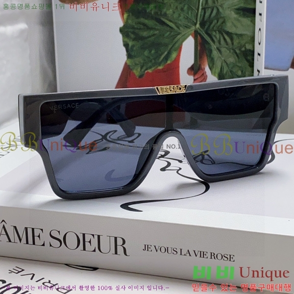 ������ü ���۶� VE102293-2