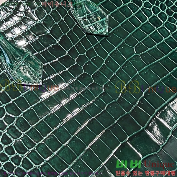 #�����޽� ��Ų�� 25 hcp moreletii crocodile 35HE856621-1006