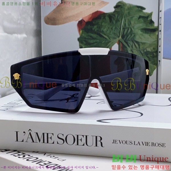 ������ü ���۶� VE102300-2