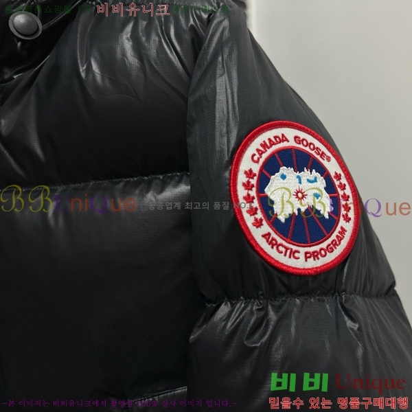 ĳ���ٱ��� �ٿ� �е� �������� 45AC2510208-4