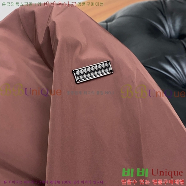 ���� ���װ�����Ÿ ���� BV132353