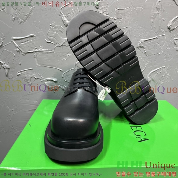 ���� ���װ�����Ÿ ���� BV48508-1