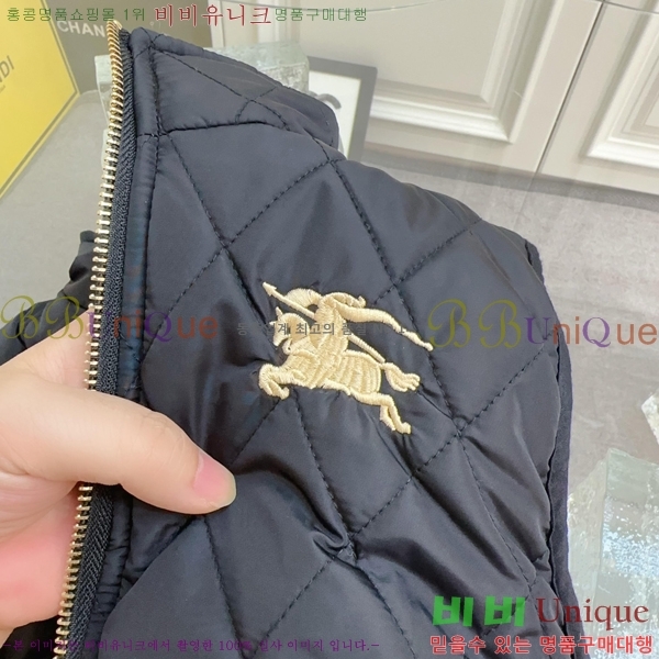 Ű�� ������ �淮 �е� ���� BU3156278-2