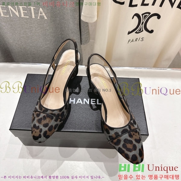 ���� ��* ������ ������ MV6546603  �� 6.5cm