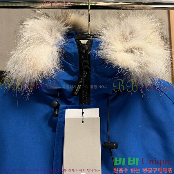 ���� ĳ���ٱ��� �ٿ� �е� CAG157489-3