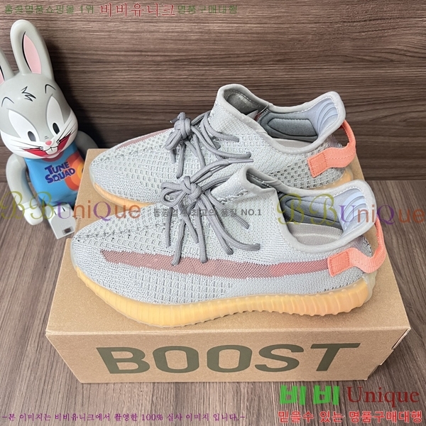 �Ƶ�ٽ� �����ν�Ʈ 350 AD52621066-15