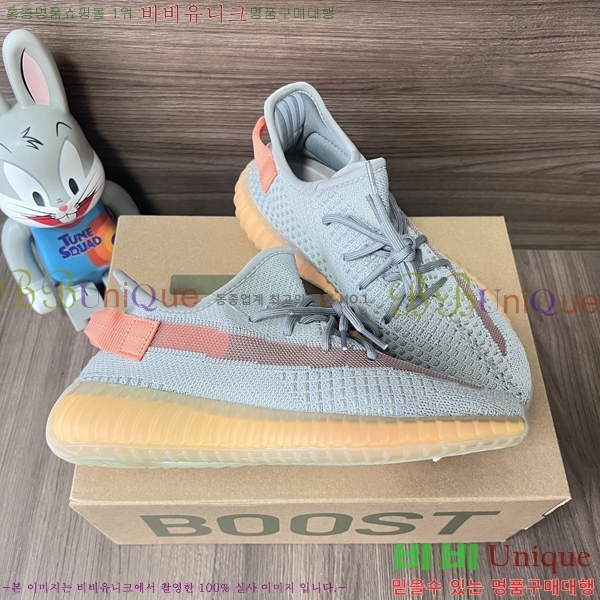 �Ƶ�ٽ� �����ν�Ʈ 350 AD52621066-15