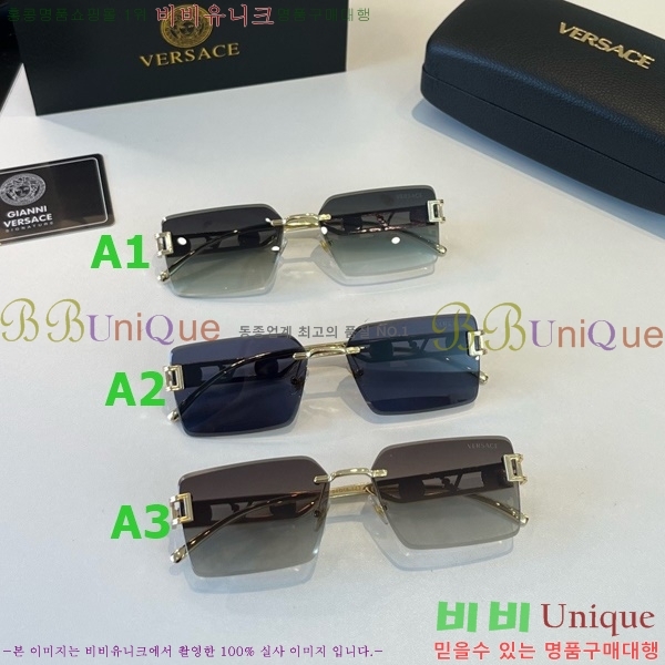 ������ü ���۶� PA253832