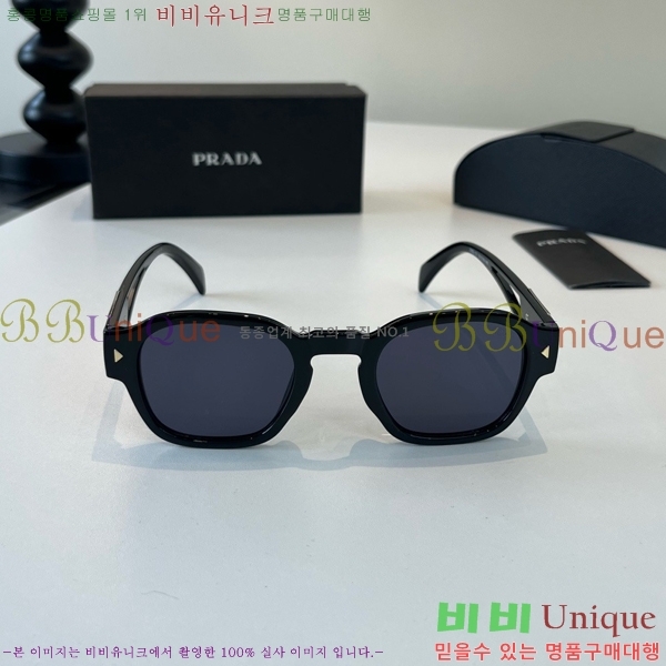 ����� ���۶� PA253831