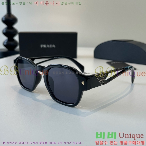 ����� ���۶� PA253831