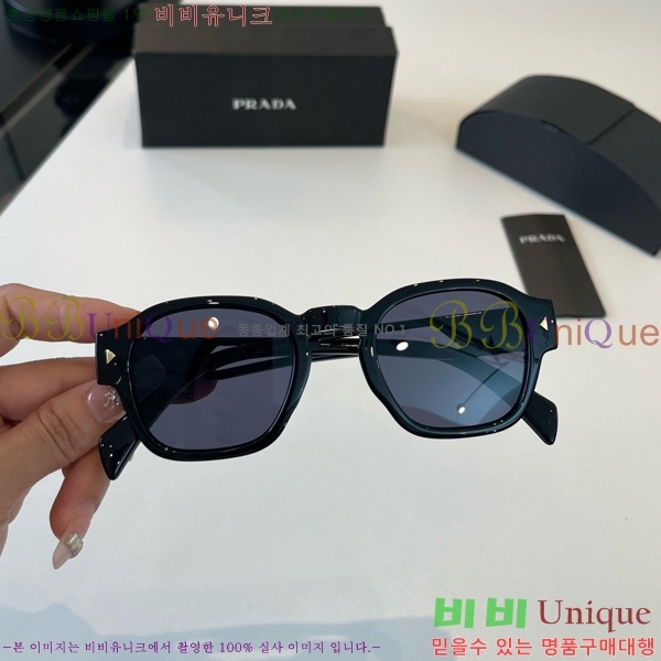����� ���۶� PA253831