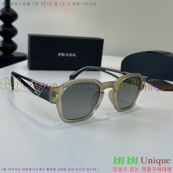 ����� ���۶� PA253831