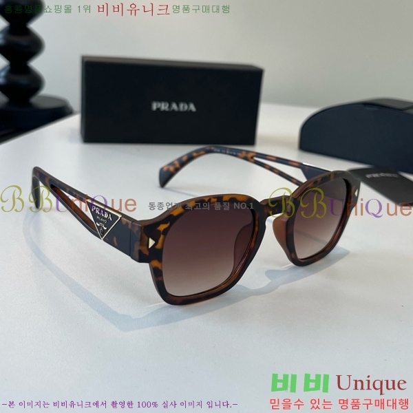 ����� ���۶� PA253831