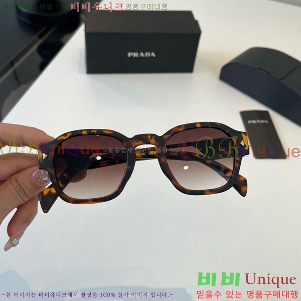 ����� ���۶� PA253831