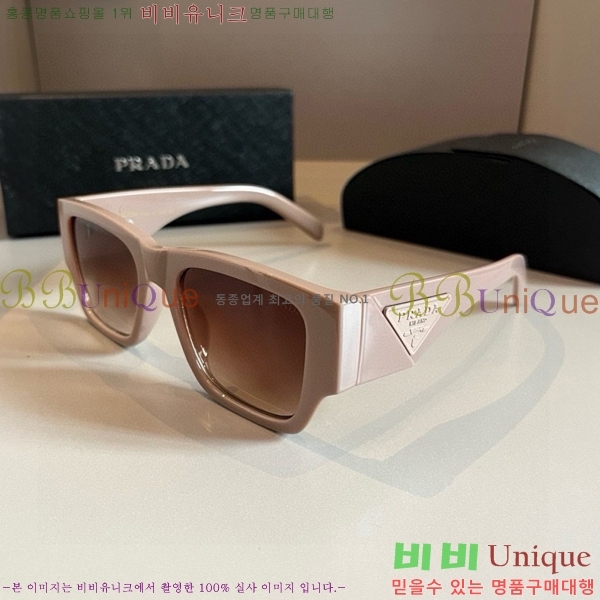 ����� ���۶� PA253829