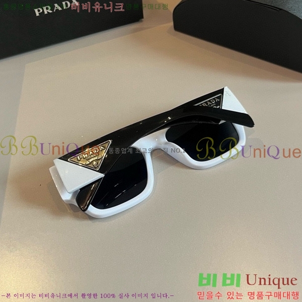 ����� ���۶� PA253829