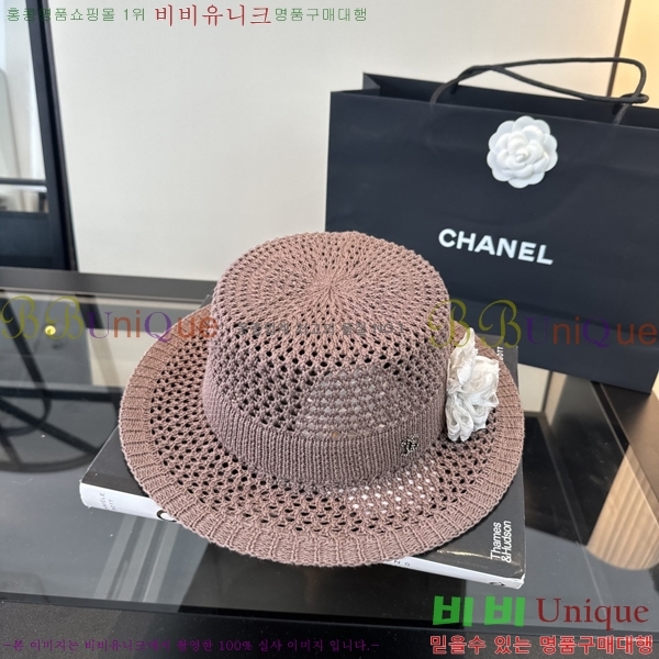 ��* ���� CH2520999-1