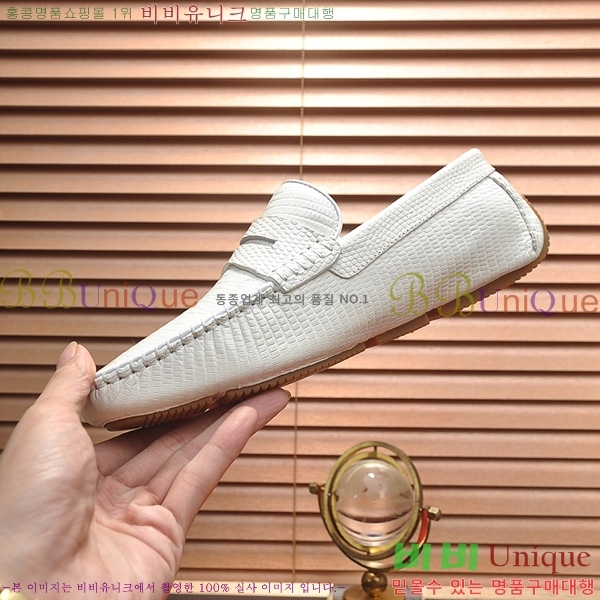 ���� ���װ�����Ÿ ���� BV480022-1