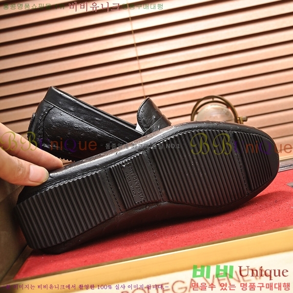 ���� ���װ�����Ÿ ���� BV480022