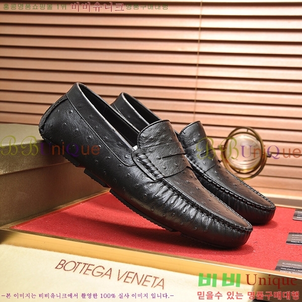 ���� ���װ�����Ÿ ���� BV480022
