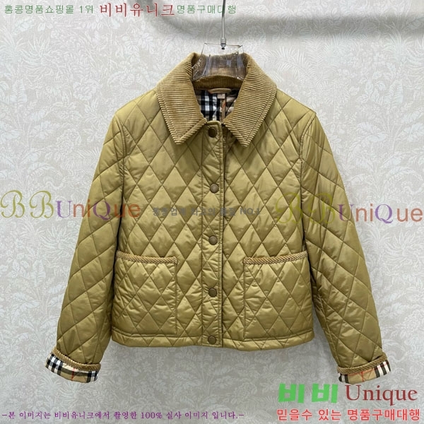 ���� ������ �е� ���� BUR057643-1