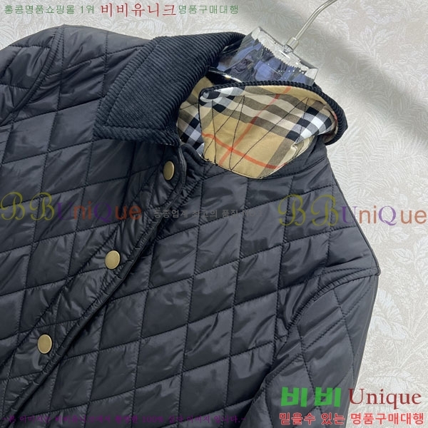 ���� ������ �е� ���� BUR057643-1