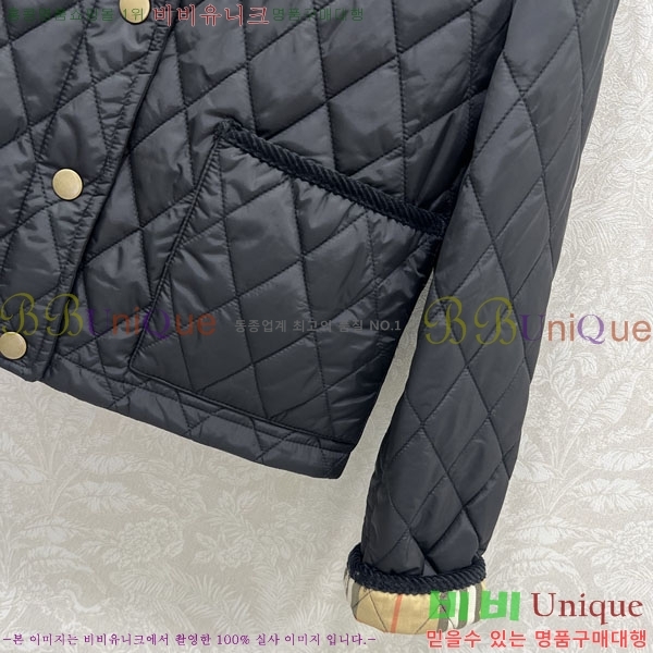 ���� ������ �е� ���� BUR057643-1