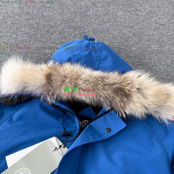 �������� ĳ���ٱ��� �ٿ� �е� CAG60346322-7
